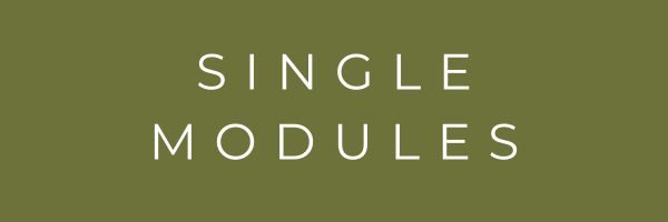singlemodules2_m